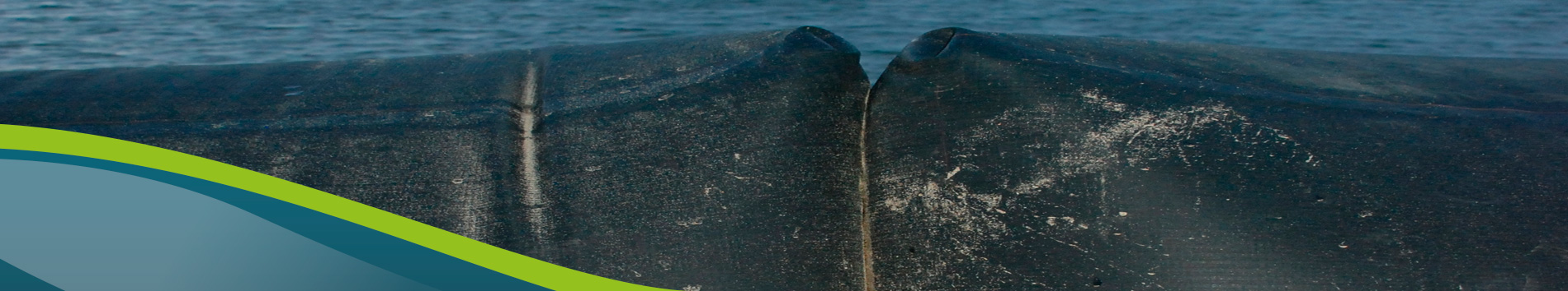 Agrarsektor header